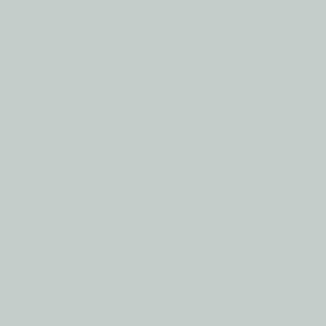 British Standard BS 18 B 17 Silver Haze